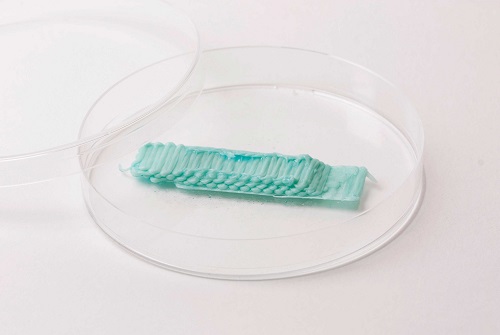 Gumă de mestecat imprimată 3D cu GumJet