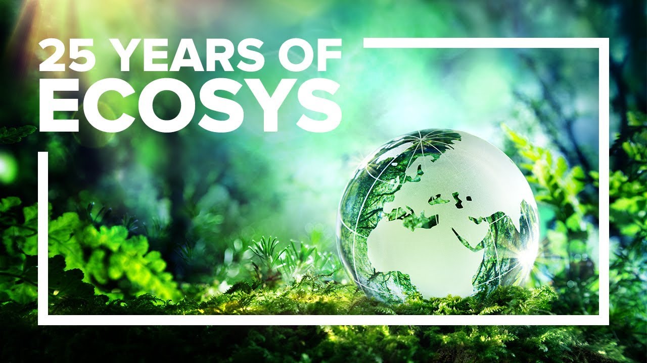 youtube placeholder image